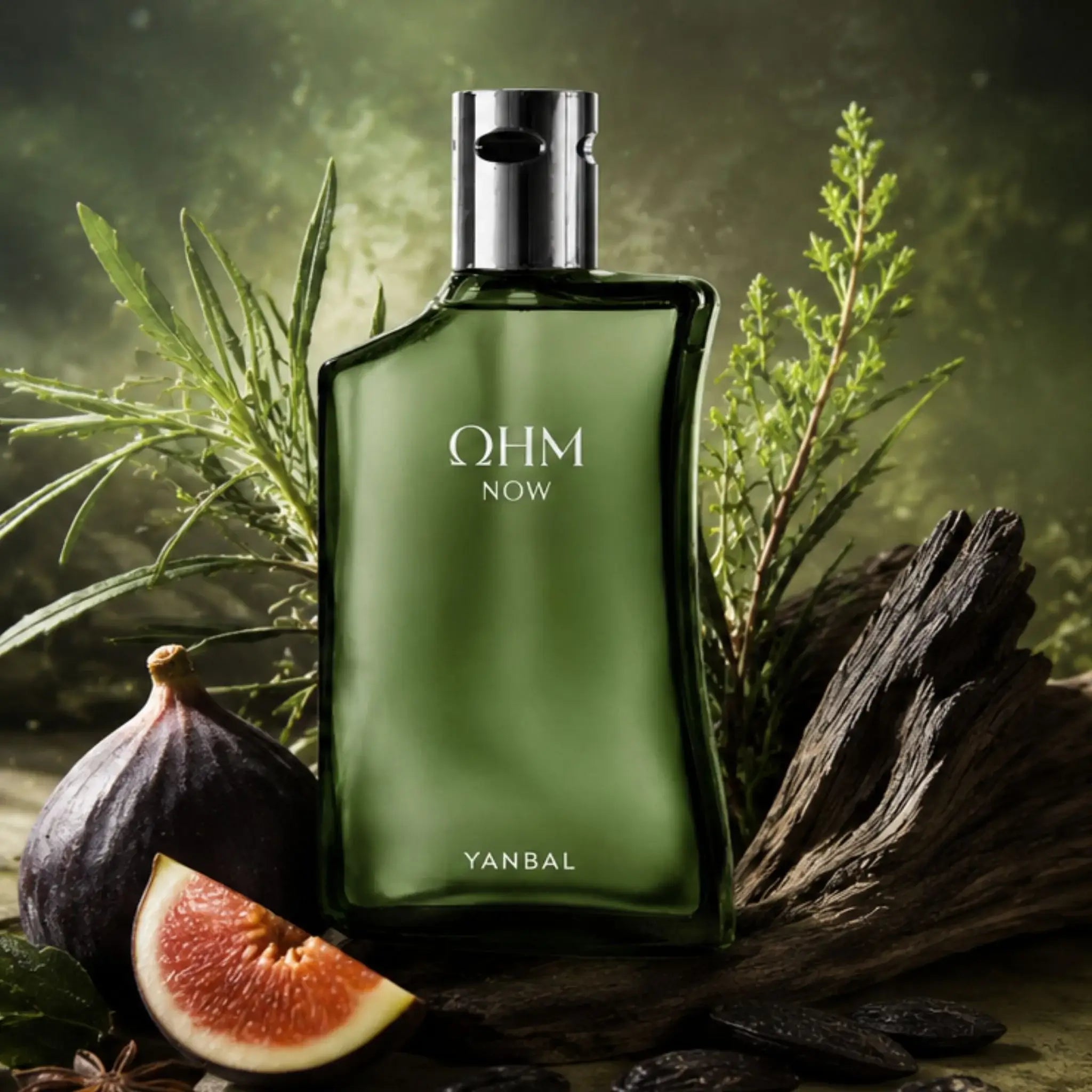 Perfume OHM NOW de Yanbal con notas aromáticas de higo, absenta y tonka, fragancia masculina fresca y maderosa.